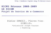 RICM3 Réseaux 2008-2009  UE RICOM Projet de Service de e-Commerce