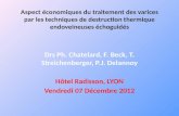 Drs  Ph. Chatelard, F. Beck, T.  Streichenberger , P.J. Delannoy Hôtel Radisson, LYON