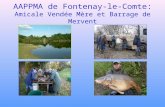 AAPPMA de Fontenay-le-Comte: Amicale Vendée Mère et Barrage de Mervent