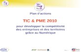 TIC&PME  2010