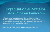 Organisation du Système des Soins au Cameroun