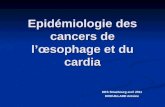 Epidémiologie des cancers de l’œsophage et du cardia