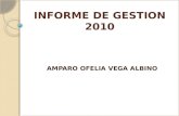 INFORME DE GESTION 2010