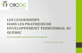 Les  leaderships dans  les pratiques de  développement territorial au Québec