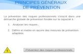 PRINCIPES GÉNÉRAUX  DE PRÉVENTION