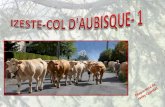 IZESTE-COL D'AUBISQUE- 1
