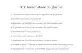 TD1: hom©ostasie du glucose