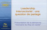 Leadership intersectoriel : une question de partage