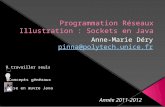 Programmation Réseaux Illustration : Sockets en Java