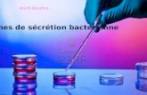 Systèmes de sécrétion bactérienne