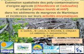 Estimation spatialisée des poly-contaminations  d’origine agricole ( Chlordécone et  Cadusafos )