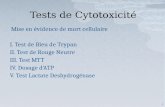 Tests de  Cytotoxicité