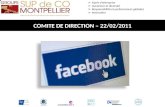 COMITE DE DIRECTION – 22/02/2011