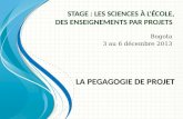 Stage : Les sciences à l'école, des enseignements par projets