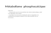 Métabolisme  phosphocalcique