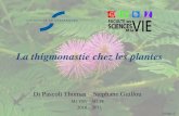 La thigmonastie chez les plantes