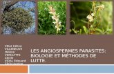 Les Angiospermes parasites: Biologie et méthodes de lutte.