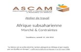 Afrique subsaharienne Marché & Contraintes