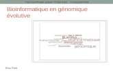 Bioinformatique en génomique évolutive