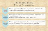 PGI  en série STMG Plan de l’intervention