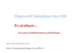 Diagnostic biologique des MAI En pratique… le Lupus érythémateux systémique