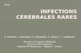 INFECTIONS CÉRÉBRALES  RARES