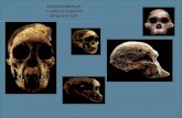 Australopithèque  5 millions d’années Afrique et Asie
