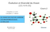 Évolution et Diversité du Vivant (101-NYA-05)