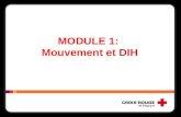 MODULE 1:  Mouvement et DIH