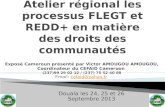 Atelier régional les processus FLEGT et REDD+ en matière des droits des communautés