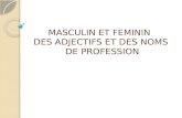 MASCULIN ET FEMININ   DES ADJECTIFS ET DES NOMS  DE PROFESSION