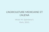 L’AGRICULTURE MEXICAINE ET L’ALENA