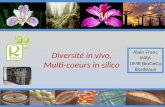 Diversité in vivo,  Multi- coeurs  in silico