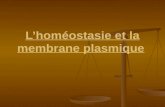 Lâ€™hom©ostasie et la membrane plasmique