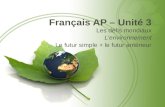 Français AP – Unité  3