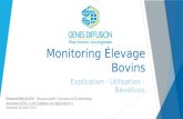 Monitoring Élevage Bovins