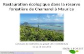 Restauration écologique dans  la  réserve forestière  de Chamarel  à Maurice