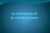 Le calvinisme et  la «seule nature»