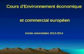 Cours d’Environnement économique  et commercial européen Année universitaire 2013-2014