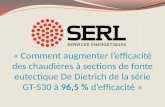 Débuts  de SERL en  1993  :  20 ans  l’an prochain ! 2 bureaux  : Québec & Boucherville