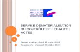 Service dématérialisation du contrôle de  légalite  : ACTES