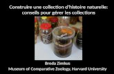 Construire une  collection  d 'histoire naturelle :  conseils pour  gérer l es  collections