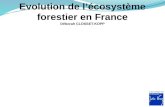 Evolution de l’écosystème forestier en France Déborah CLOSSET-KOPP