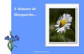 L'histoire de  Marguerite...