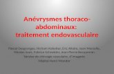 Anévrysmes  thoraco -abdominaux:  traitement endovasculaire