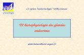 TP histophysiologie des glandes endocrines