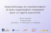 Apprentissage de représentation et auto-organisation modulaire pour un agent autonome