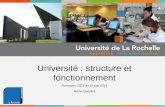 Université : structure et fonctionnement Formation CIES du 19 juin 2011 Anne Goudot