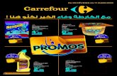 Catalogue Carrefour Fidélité