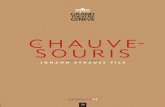 1314 - Programme opéra n°28 - La Chauve-souris - 12/13
